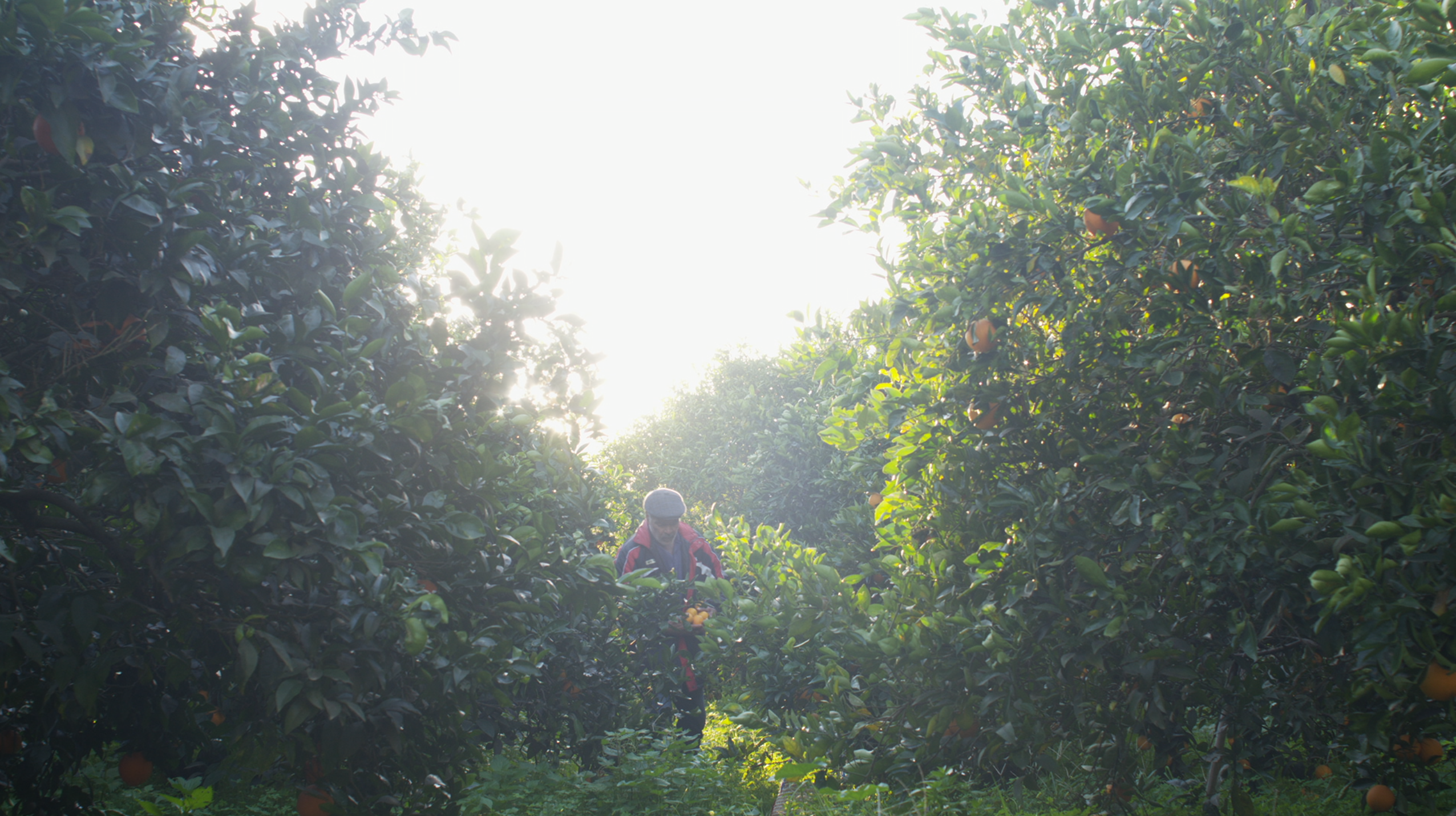 Image tirée du film Derrière le soleil