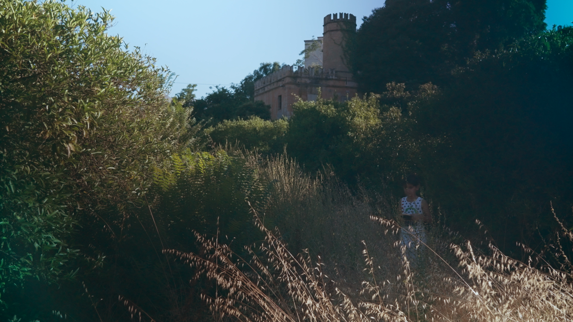 Image tirée du film The Castle