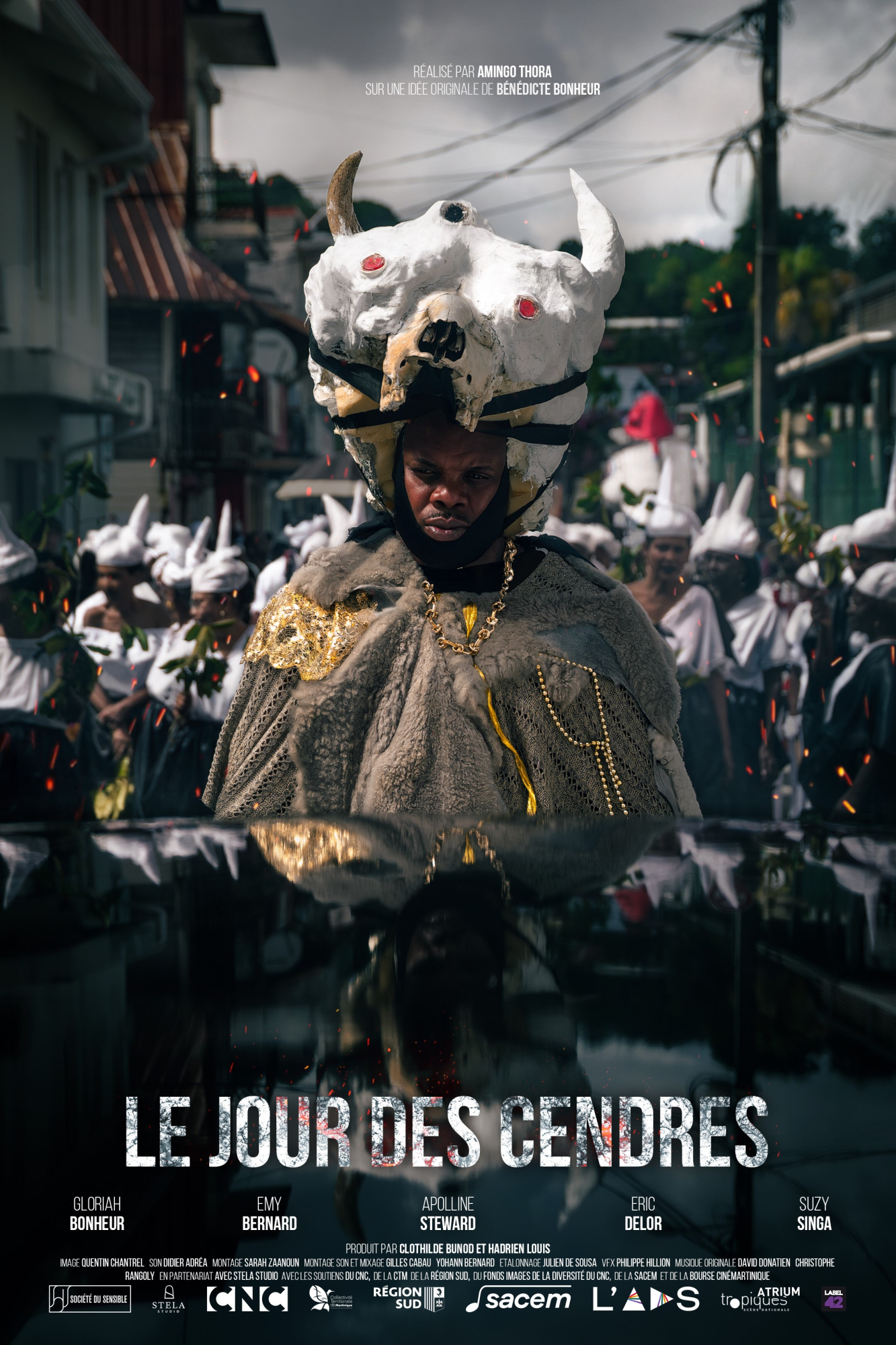 Affiche du film Le Jour des Cendres